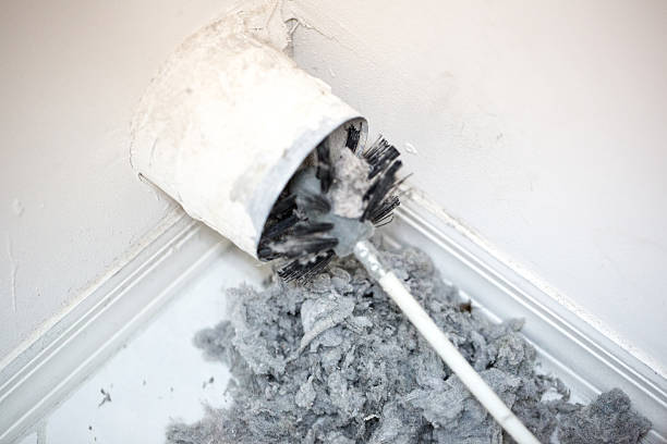 Best Affordable Air Duct Cleaning  in University Center, VA