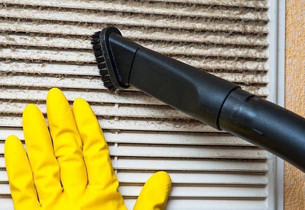 Best Affordable Air Duct Cleaning  in University Center, VA