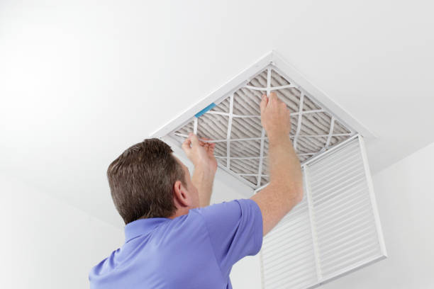 Best Home Air Vent Cleaning  in University Center, VA